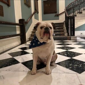 Meet your Posher, Alexandra